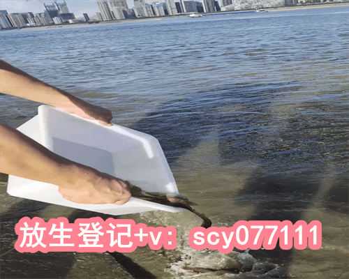 啥样的乌龟适合放生呢，乌龟与野狗