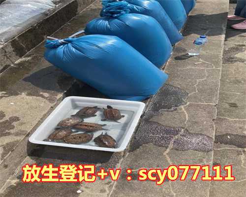 大理放生，杨升庵对大理的杰出贡献