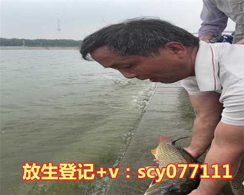 在家放生简单仪轨视频大全，放生简单仪轨！（收藏版）