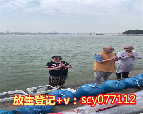 乌龟拿去哪里放生比较好，放生乌龟的方法介绍