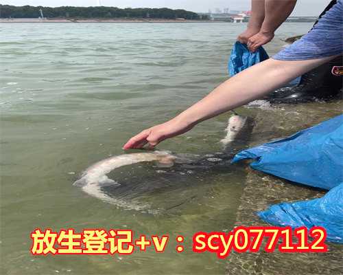 济南放生回向给孩子考试（济南放生龙虾的视频）