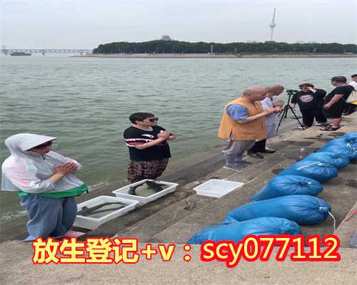 几月份去放生鱼最好，今天去放生，那个鱼太好玩了。