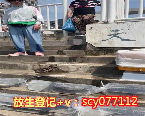 福州多大的鱼苗适合放生,多大的鱼苗适合放生,福州哪里适合放生