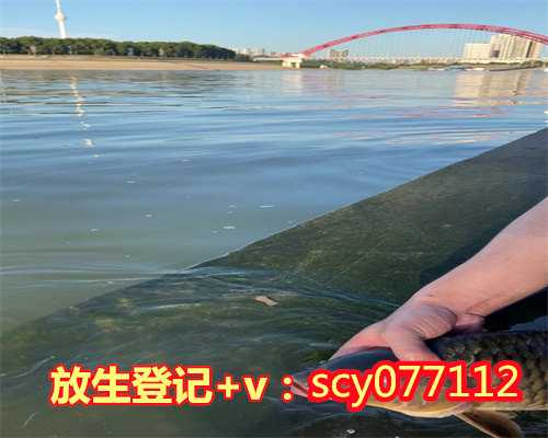 三亚哪里能放生蛙，三亚是冬天避寒福地游客在南山景区为海而舞