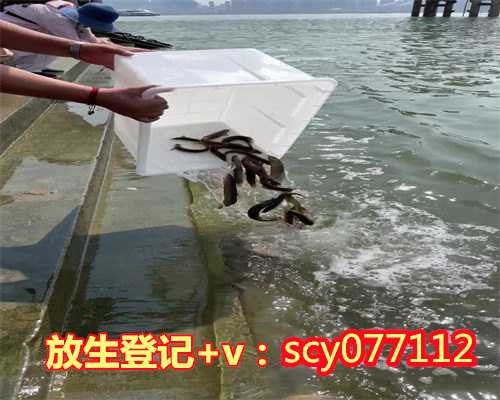 昆明放生会,昆明冬季哪里放生好,昆明哪里可以放生草鱼