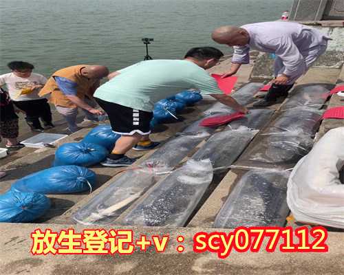 福建大型放生图片，福建放生园放生金鱼，福建放生前鱼子怎么储存