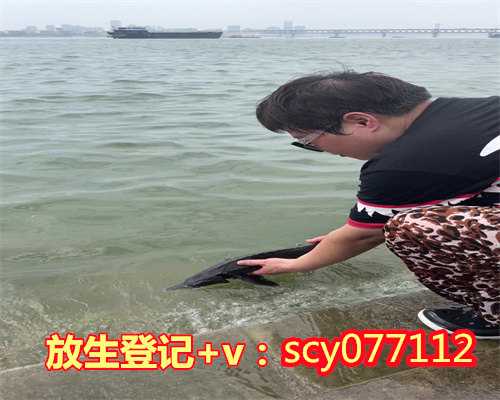 下雨天为什么不放生，武当山为什么可以被称为天下第一“仙山”？