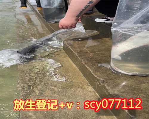 放生仪轨简单福州初一十五放生鱼几点放最好【放生野生鸟儿的功德】