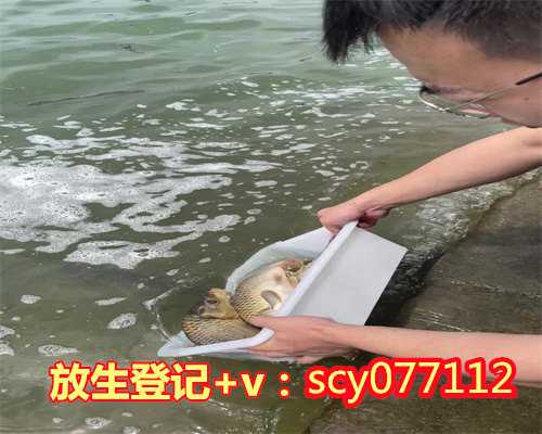 东莞不会飞的麻雀怎么放生,不会飞的麻雀怎么放生,厦门哪个地段放生