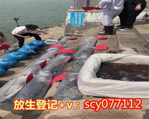 海南哪个地段放生