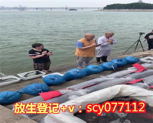 初一放生好吗，“放生就是放死”吗？！