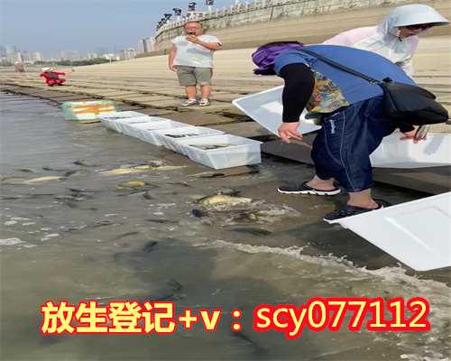 放生行业，放生：放走杀业，放走淫业，放走坏运气