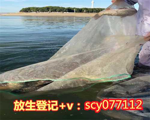 为什么放生后身体不好了，放生后肩痛竟然好了