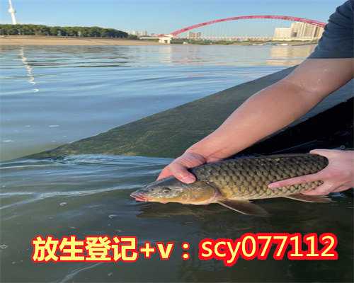 厦门放生回向身体健康怎么说，厦门放生园放生乌龟，厦门为什么不建议放生泥