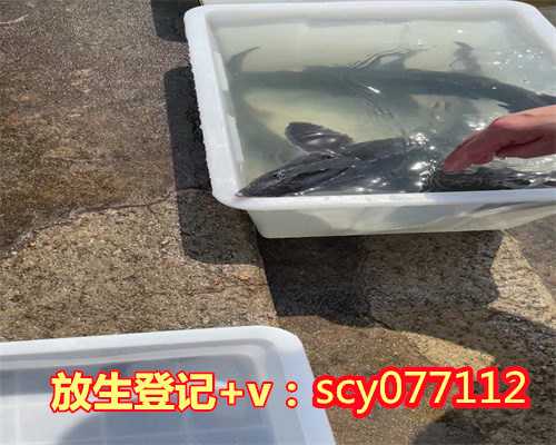 北京哪里可以放生龟的地方啊，2010年冬北京无雪？