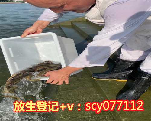 昆明哪里放生黄鳝昆明,昆明放生园放生泥鳅【昆明周边放生最佳地点】