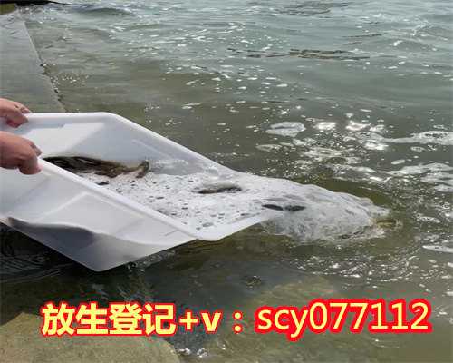 八月放生的时间是几点，是不是有些时间段不可以点香呢