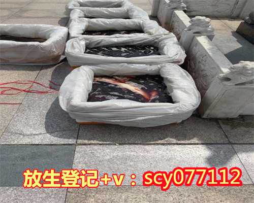 厦门居士在厦门放生，厦门适合放生的水域，厦门可以放生的地方