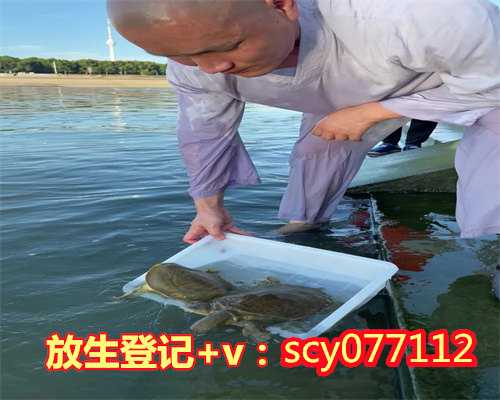 福州7天内做功德的步骤，福州哪里适合放生蚯蚓，福州放生的发心