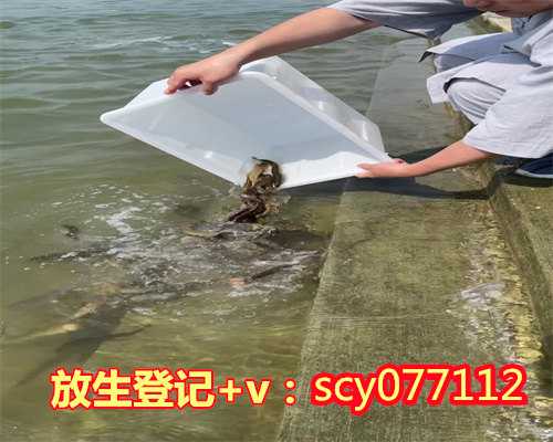 2024年放生日期，燕郊-北京通州每日放生汇报（18年6月28日）