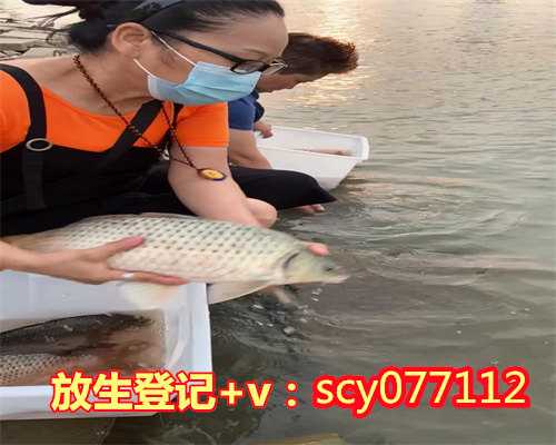 昆明放生回向文大全,昆明放生小鱼在哪里,昆明有没有代理放生的机构