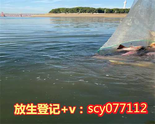 放生需要自己亲力亲为吗，放生，先放了自己