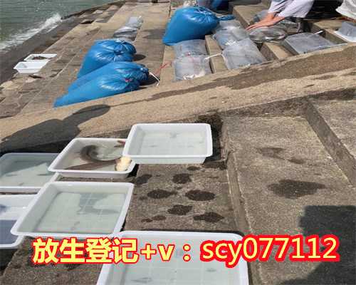 贵州代放生蛇,贵州哪里放生蜈蚣最好,贵州放生祈福