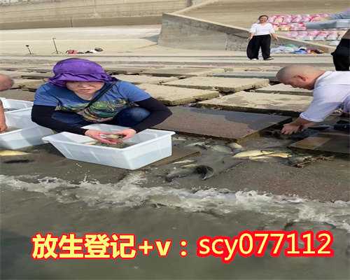 福州鹅养大了放生可以吗,鹅养大了放生可以吗,福州放生最佳地点