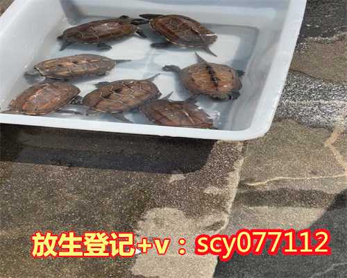 上海哪有放生的地方，上海放生群本周日(2008年3月23日)放生通知