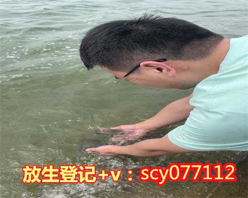 海南放生龟海南,海南何地可以放生动物【高考前几天放生效果好】