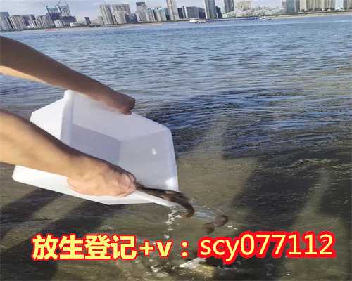 买带鱼想往河里面把鱼放生了做好事为什么日子放忙北京，北京哪里可以放生蚬