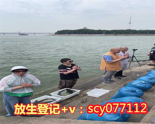 个人放生能给三皈依吗，皈依三宝有禁忌吗？