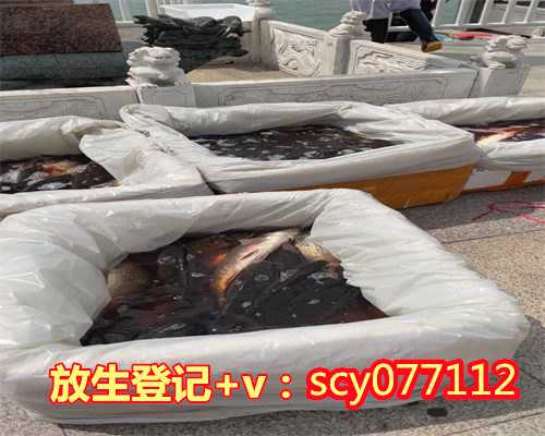 重庆放生功德回向给家人，重庆放生园放生金鱼，重庆放生带籽的鱼有什么功德