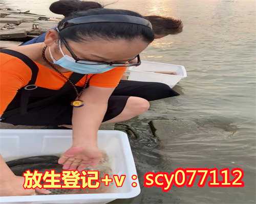 <strong>冬天买了甲鱼能放生吗为什么，放生半路鱼死掉了，有过失吗？</strong>