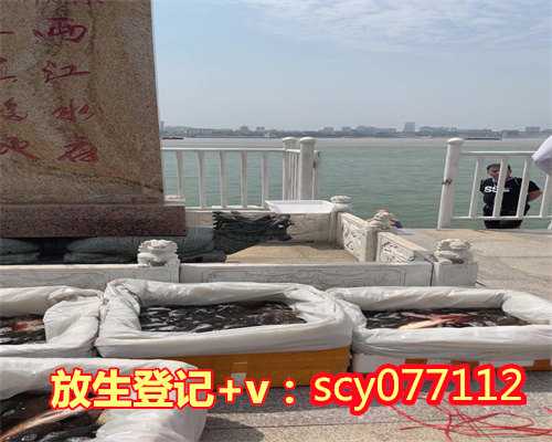 放生以后怎么回向，放生功德回向疏文