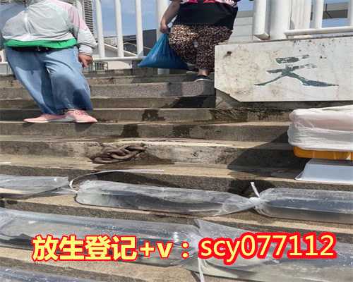 福建放生后最忌讳三句话（福建牛蛙怎么放生能活）