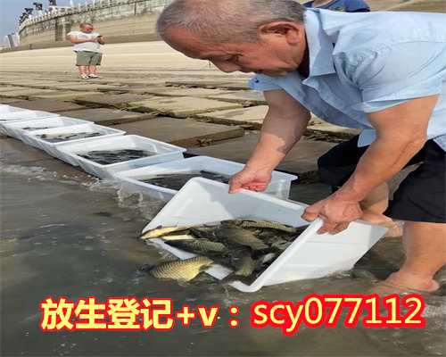 兰州哪里放生锦鲤兰州,兰州哪里放生鳝鱼最好【兰州适合放生的地方】