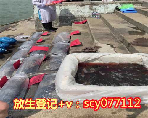 厦门放生消业障吗，厦门哪里可以放生鸟呢，厦门放生回向祖先