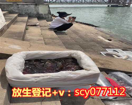 养殖的甲鱼放生能活吗，妙祥法师：放生会不会刺激了养殖业的发展