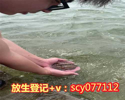 兔子放生，兔子舍身供养