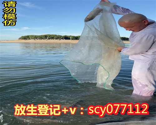 东莞哪里适合放生鸽子，花好月圆之郊外野炊——素食当季东莞站