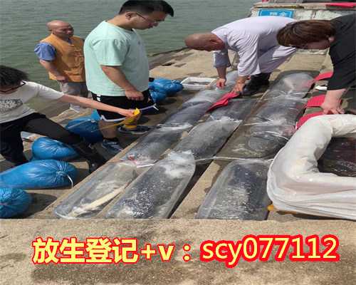 放生河蚬功德海南，海南黄鳝放生地点【海南哪里有适合放生的地方】