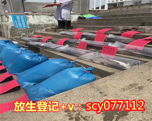 2024适合放生的日子有哪些，放生后有哪些忌讳1