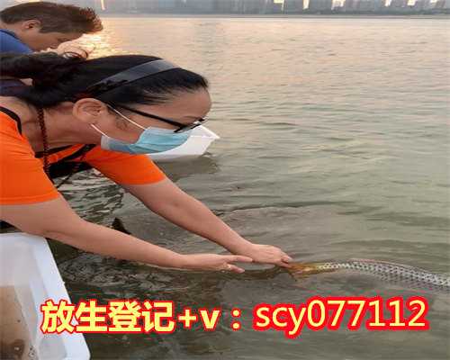 山东放生鳝鱼有什么讲究,山东哪里能放生动物,山东十五放生两条鱼