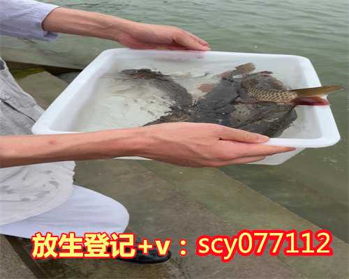 广东人有重病放生放什么好,广东花都放生最佳地点,广东放生功德回向大全