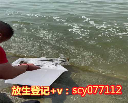 重庆哪里放生比较好，重庆野鸡放生地点，重庆放生延寿感应录