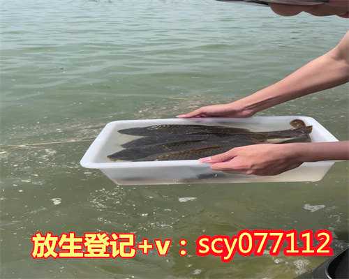 放生会成功吗深圳，深圳小鱼去哪里放生【深圳能放生的地方】