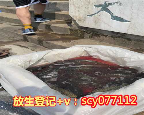 福州冬天能放生乌龟吗,冬天能放生乌龟吗,福州放生乌龟