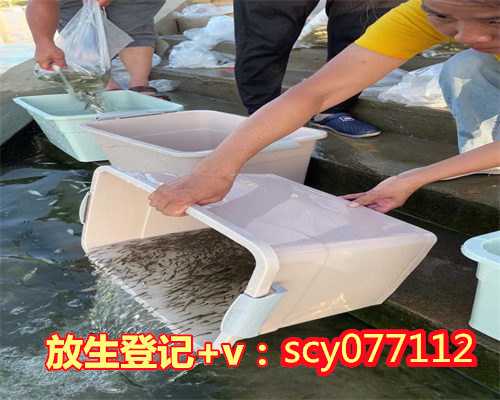 居士简易放生仪轨怎么写，洒净、放生仪轨