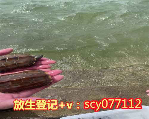 浙江河里可以放生乌龟吗